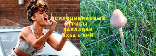 крисы Алзамай