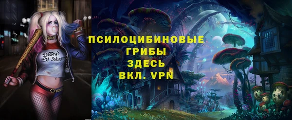крисы Алзамай