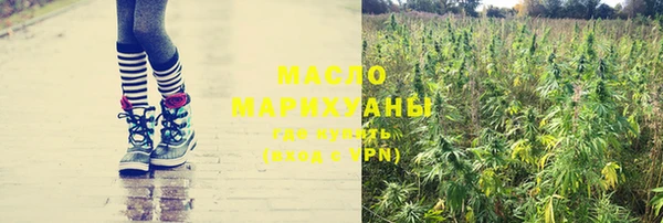 крисы Алзамай