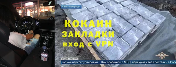 крисы Алзамай